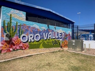 OV 50th mural landscape south wall