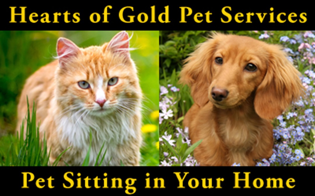 Hearts of Gold Pet Services, Pet Sitting and Dog Walking – Oro Valley